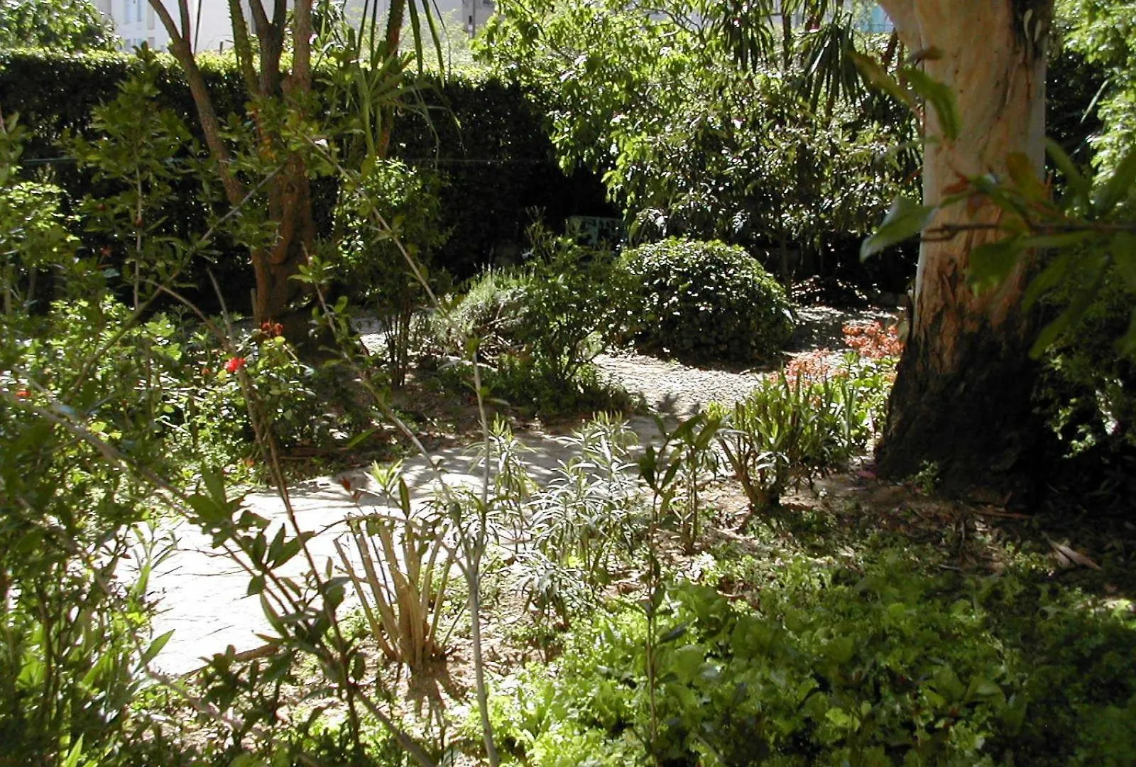 Hotel Castel Mistral Juan-les-Pins Franciaország